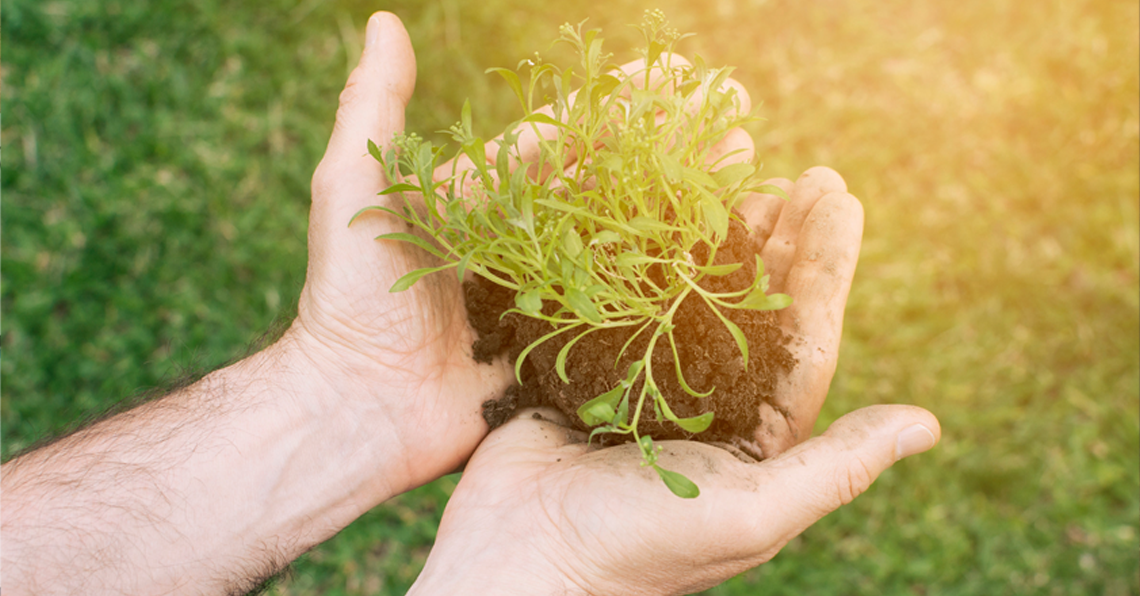 Agriculture, Environmental & Sustainability Studies